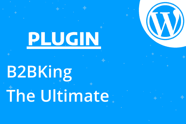 B2BKing – The Ultimate WooCommerce